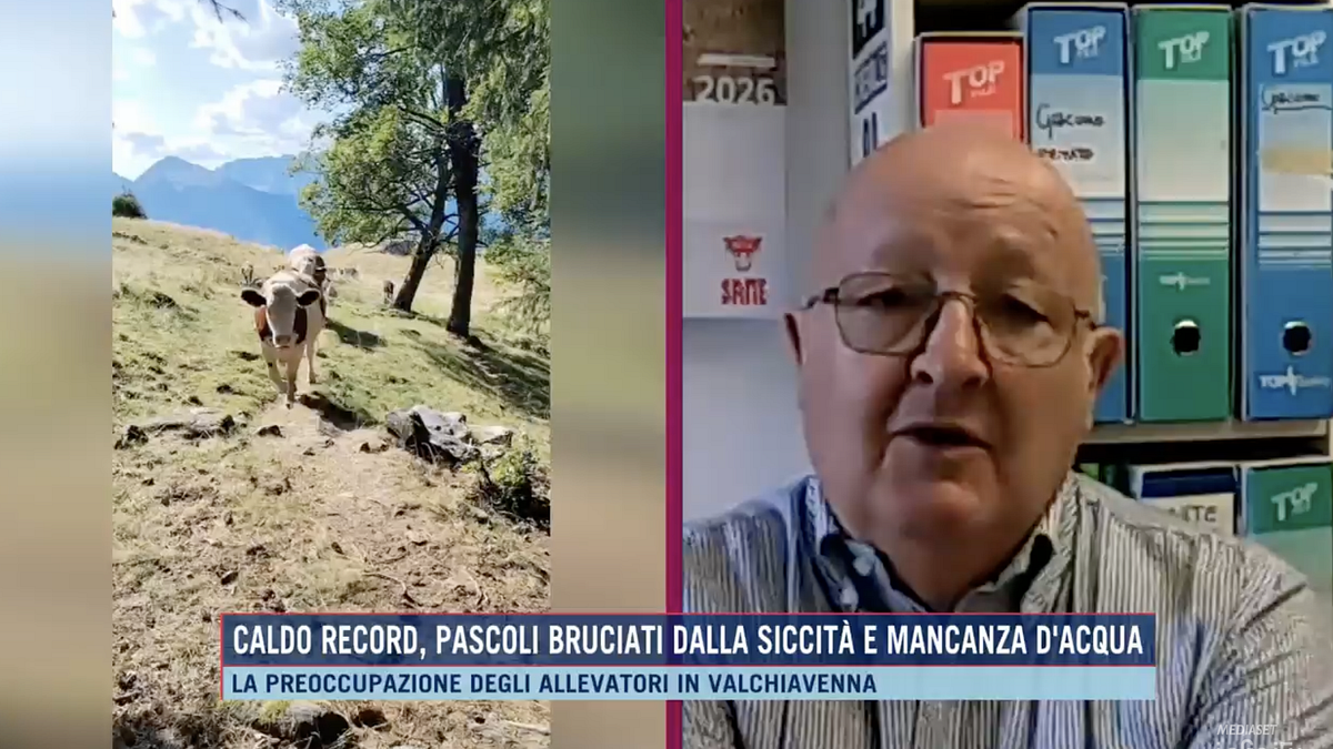  © Da video