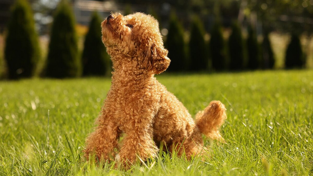  © Istockphoto
