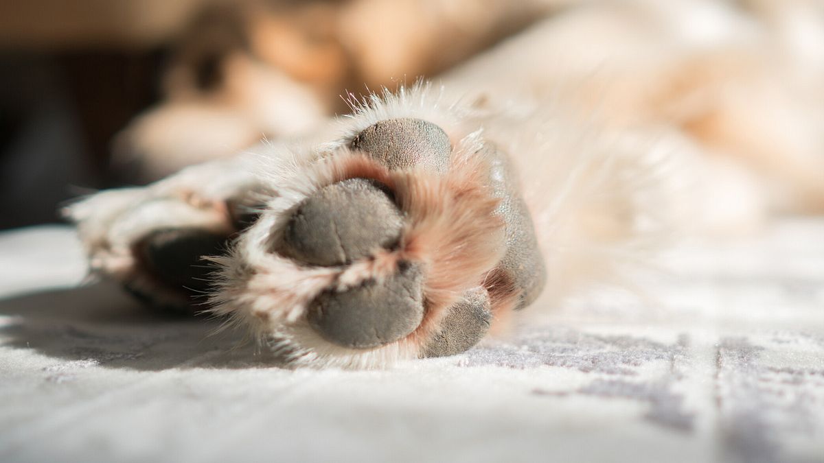  © Istockphoto