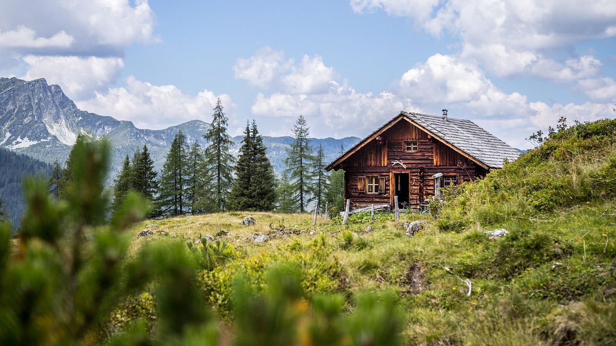  © Istockphoto