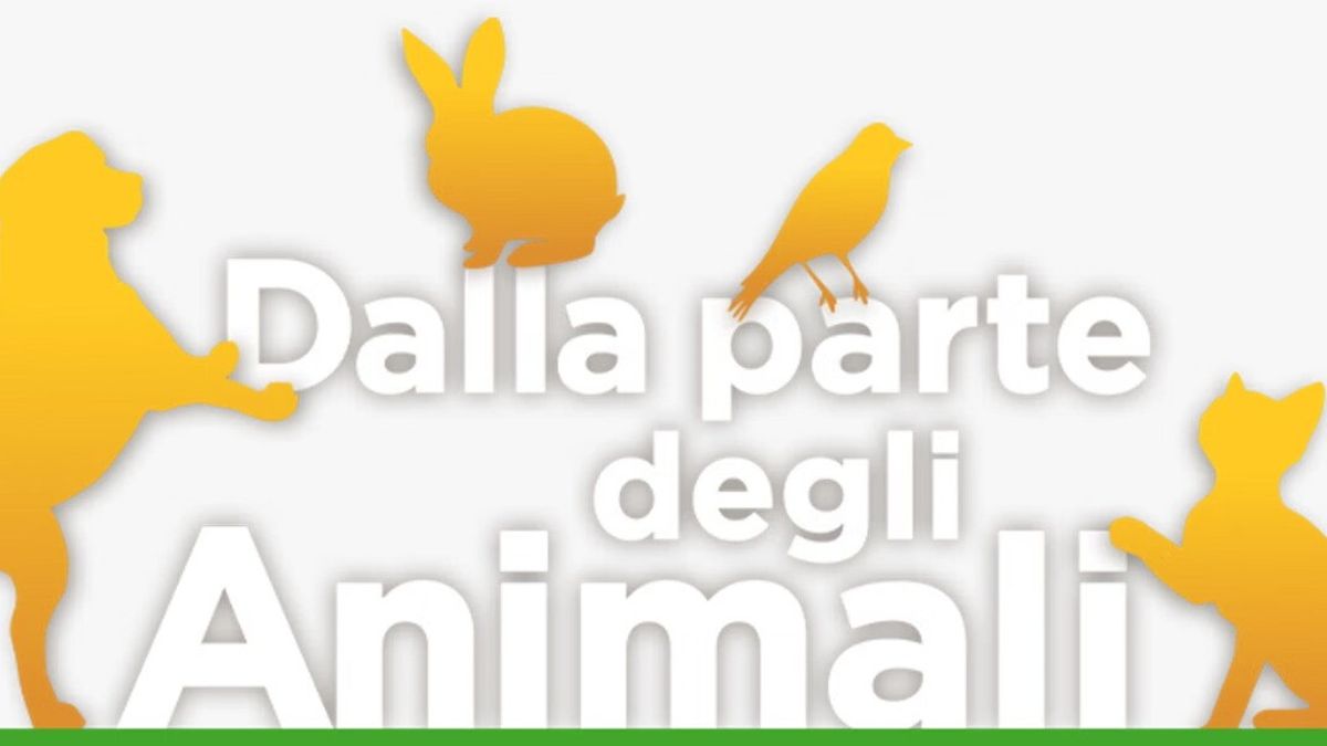  © Ufficio Stampa Mediaset