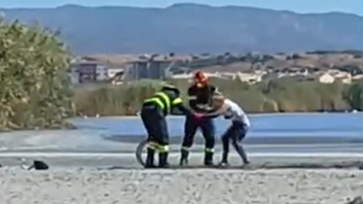  © Da video