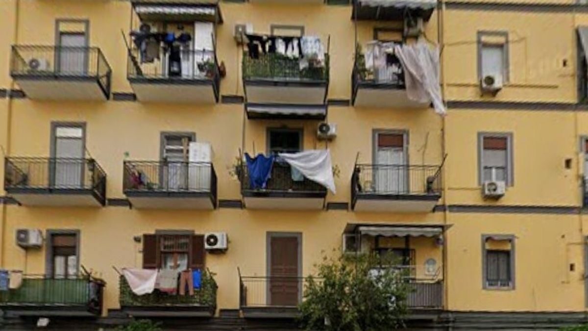 © Dal Web