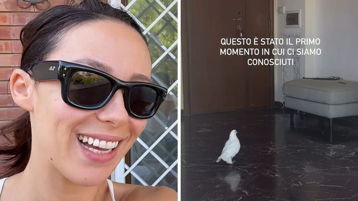 Aurora Ramazzotti "ostaggio" di un piccione in casa © Instagram