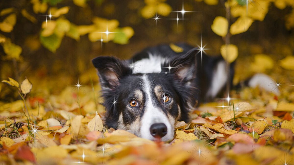  © Istockphoto