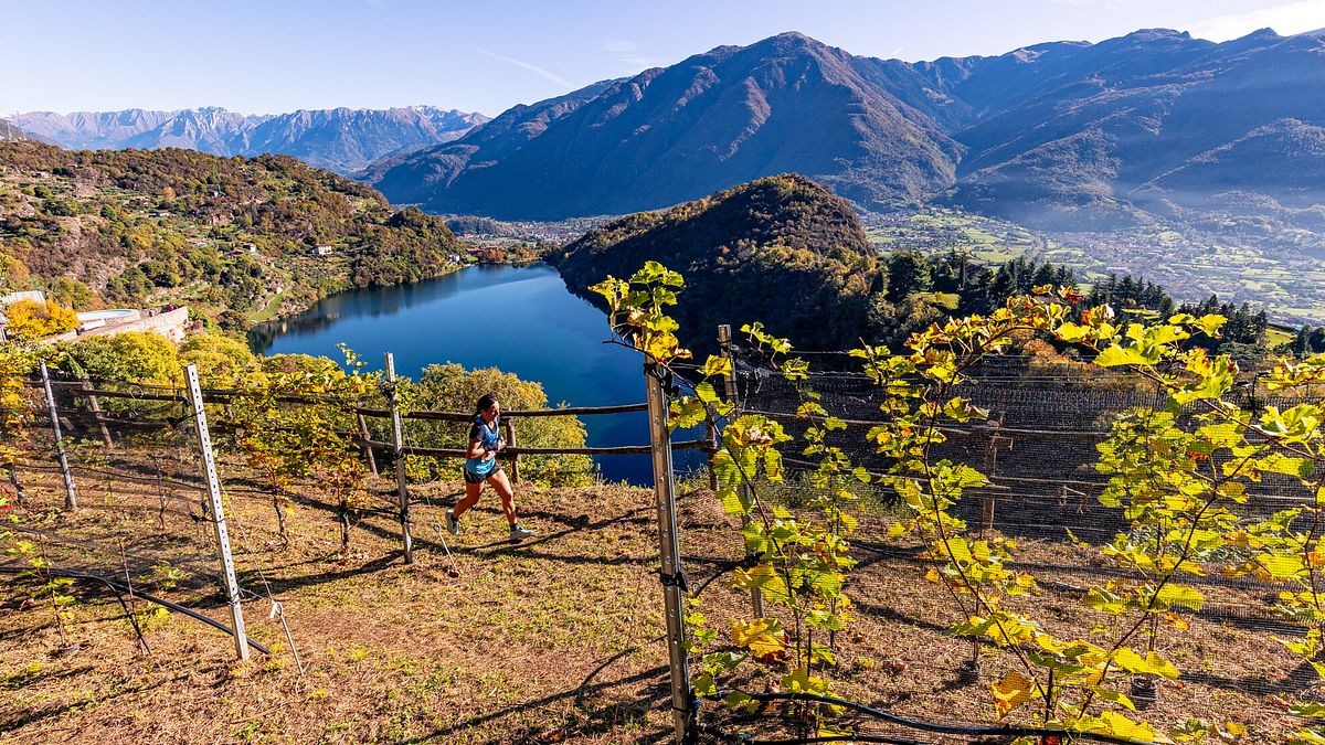  © Valle dei Segni Wine Trail Ufficio Stampa