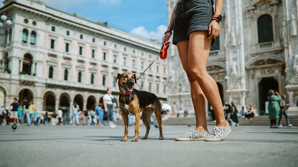  © Istockphoto