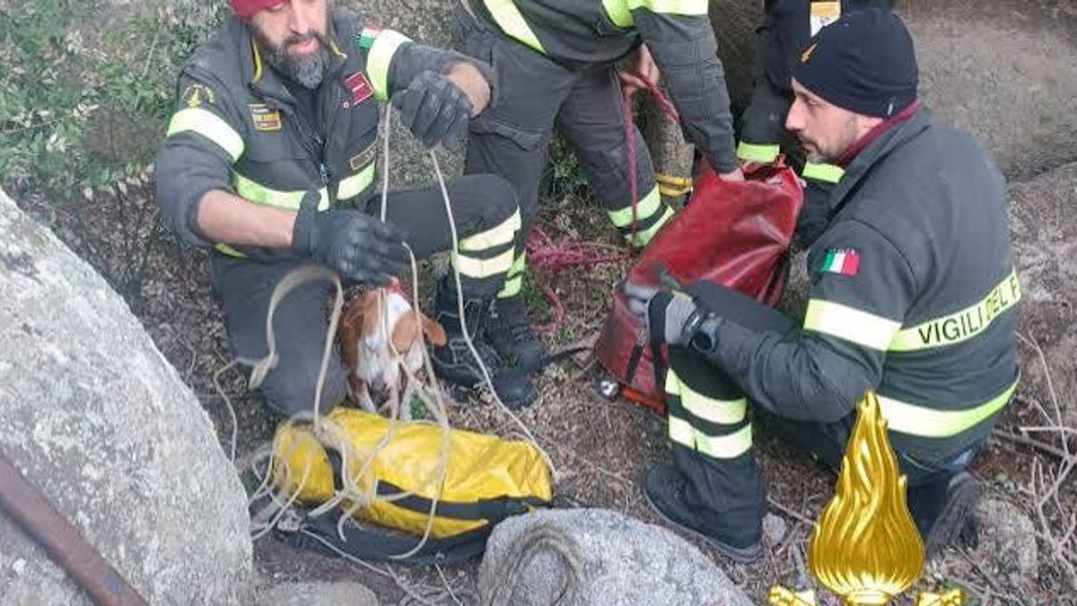  © Vigili del Fuoco