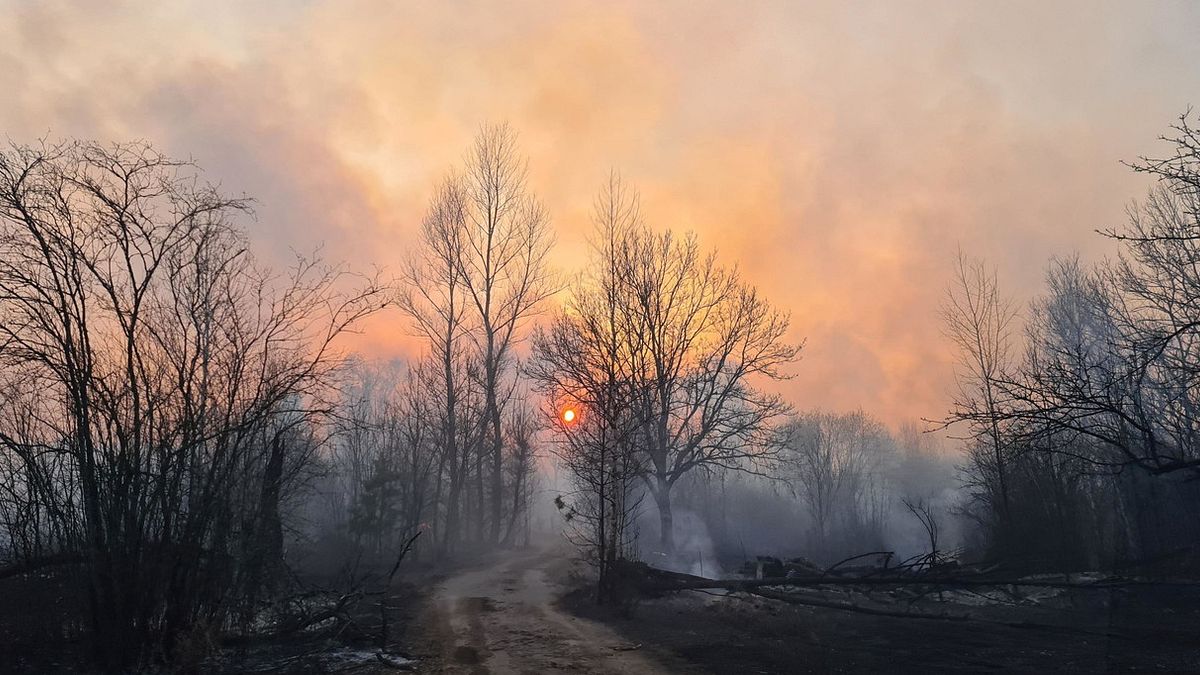 Devastante incendio boschivo nei pressi della ex centrale nucleare di Chernobyl © Ansa