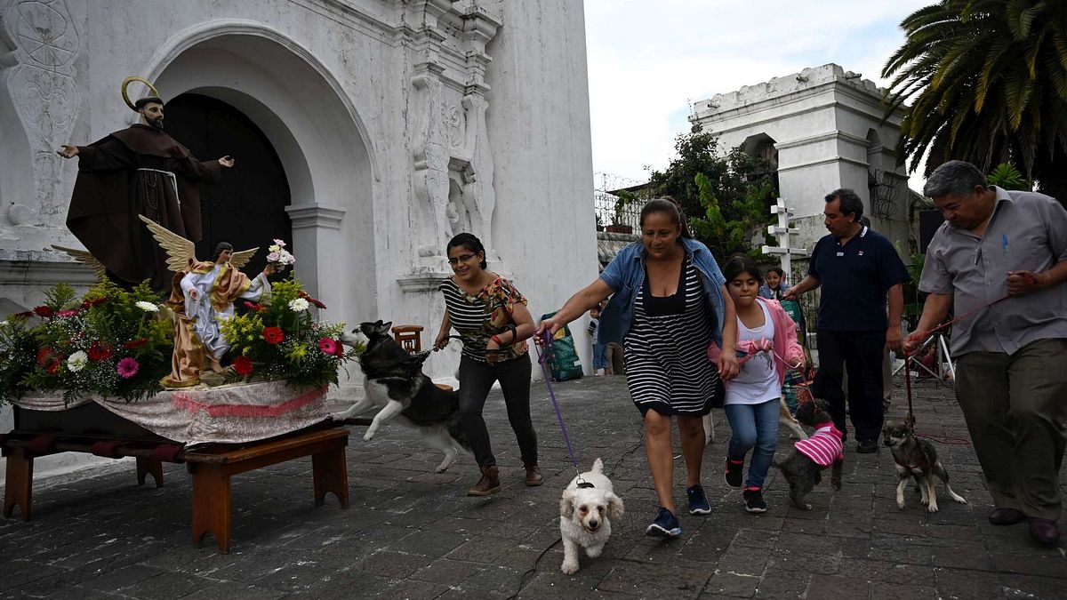 Guatemala, la benedizione degli animali  © Afp