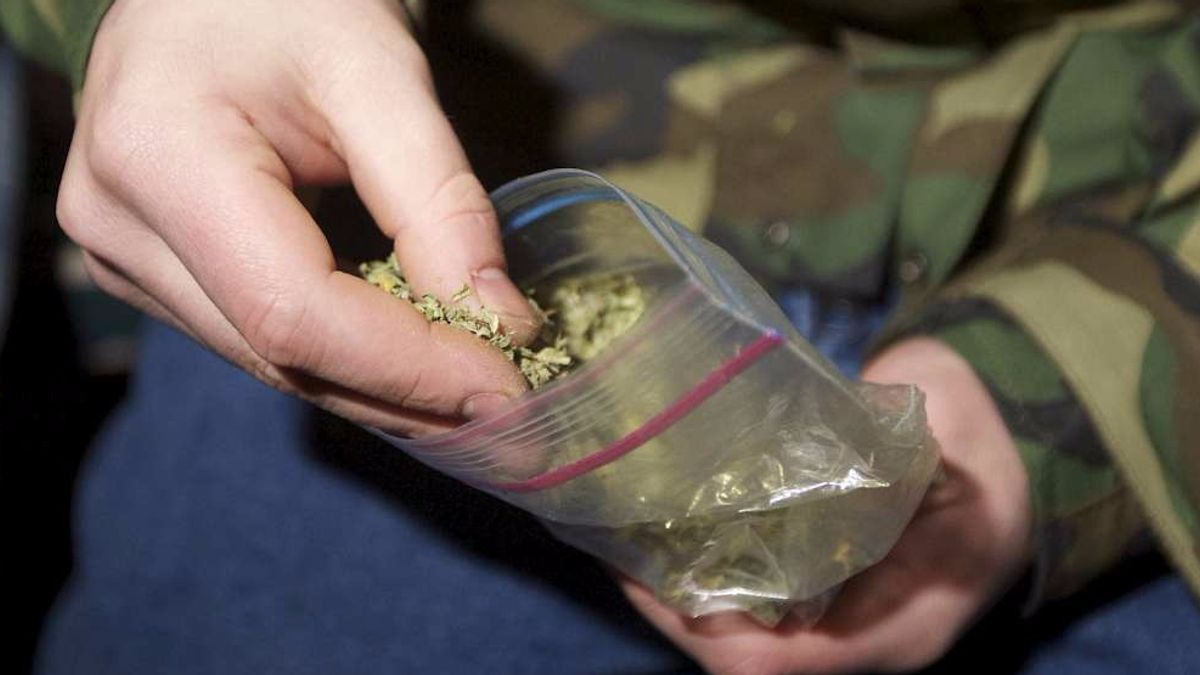 Terni, 66enne coltiva marijuana per il figlio © -afp