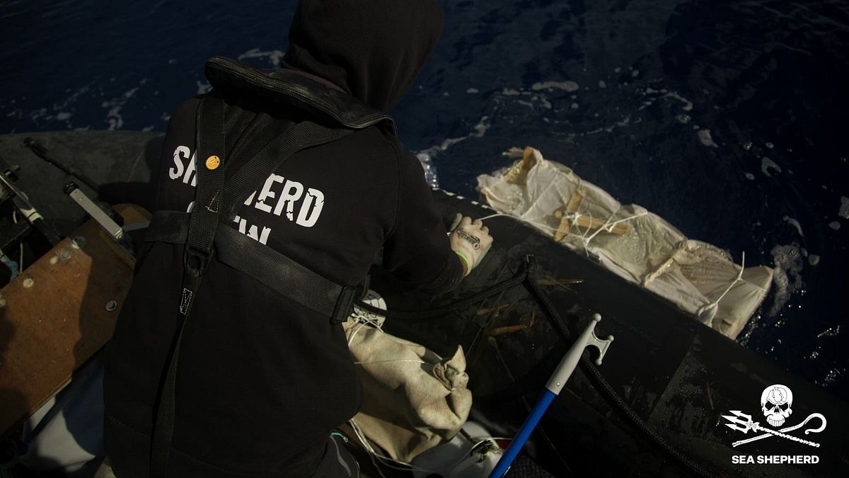 L'equipaggio della Sea Shepherd minacciato da un gruppo di bracconieri © Facebook