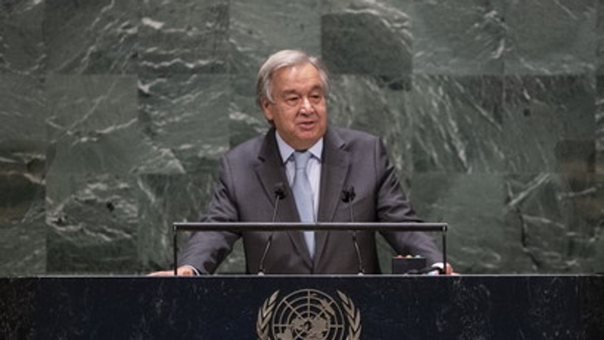  © afp