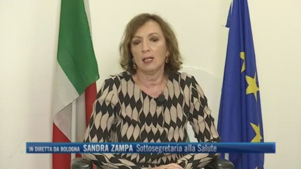 Smartworking, Sandra Zampa (Sottosegretaria alla Salute): "Si sta lavorando su questa direzione" 