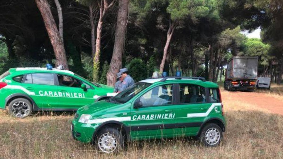  © carabinieri