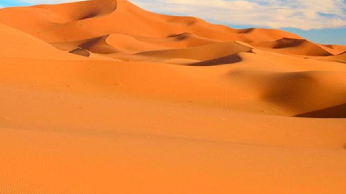 
      <p>Il Sahara Nordafricano.</p>
    © istockphoto