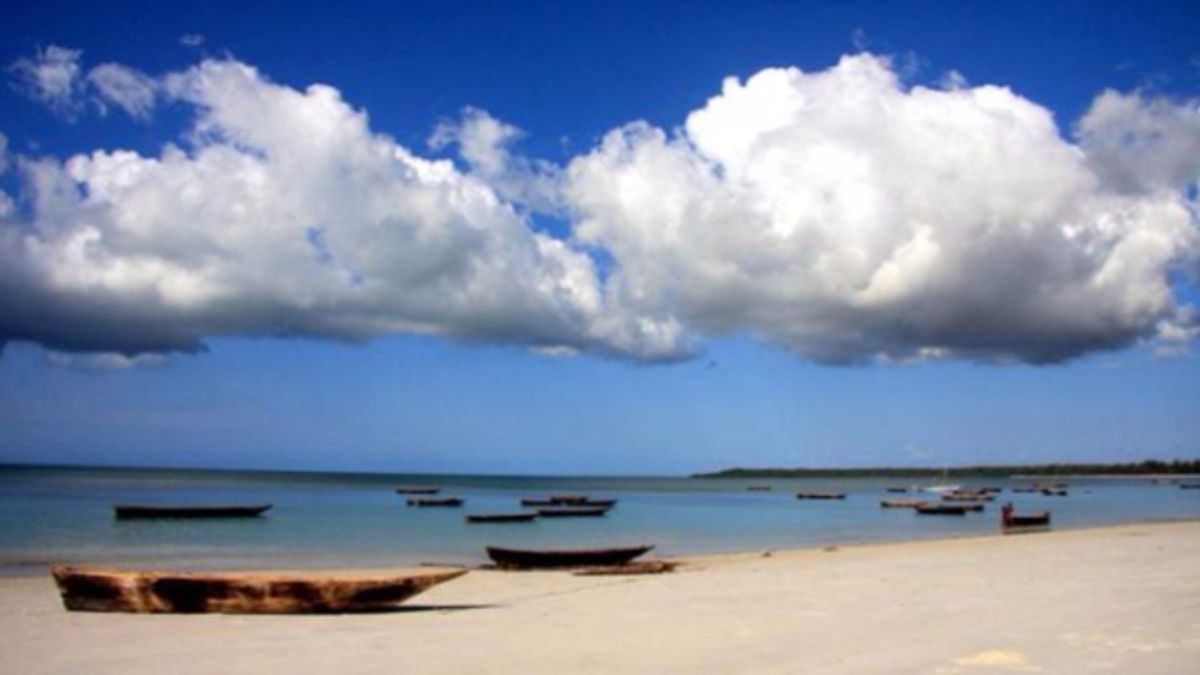 
      Una spiaggia sull'isola di Pemba
    © ufficio-stampa