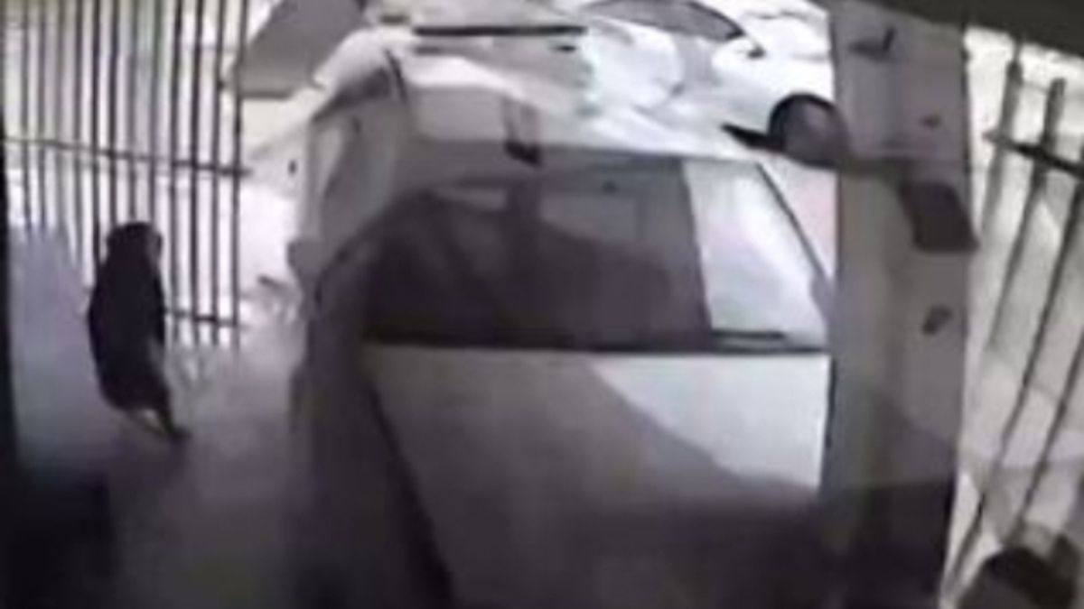 
    © da-video