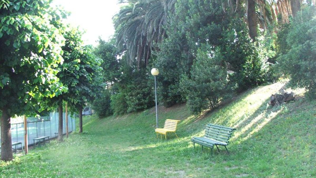 
    © dal-web