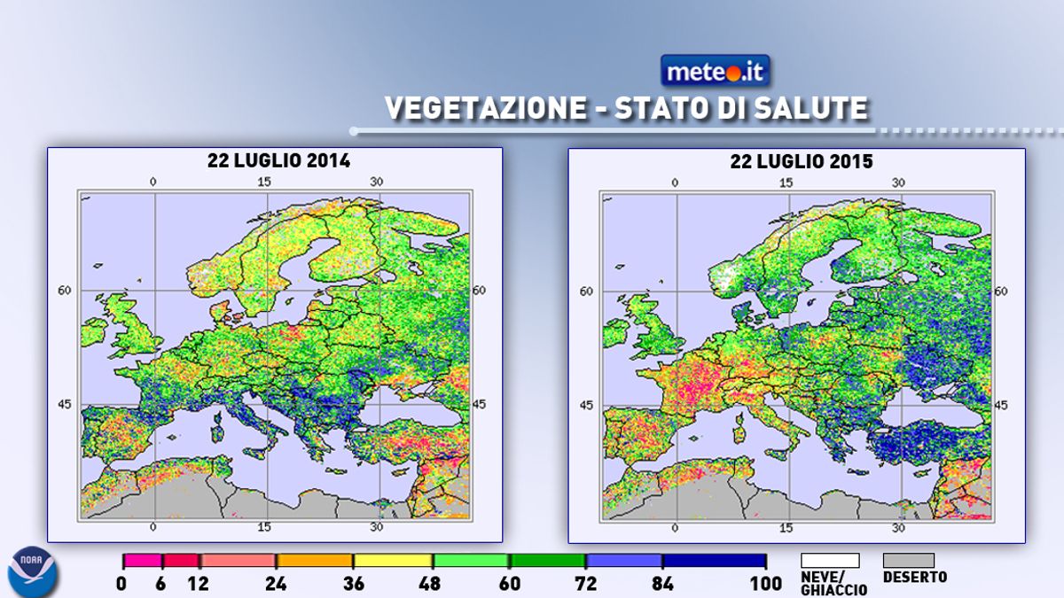 
    © meteo-it