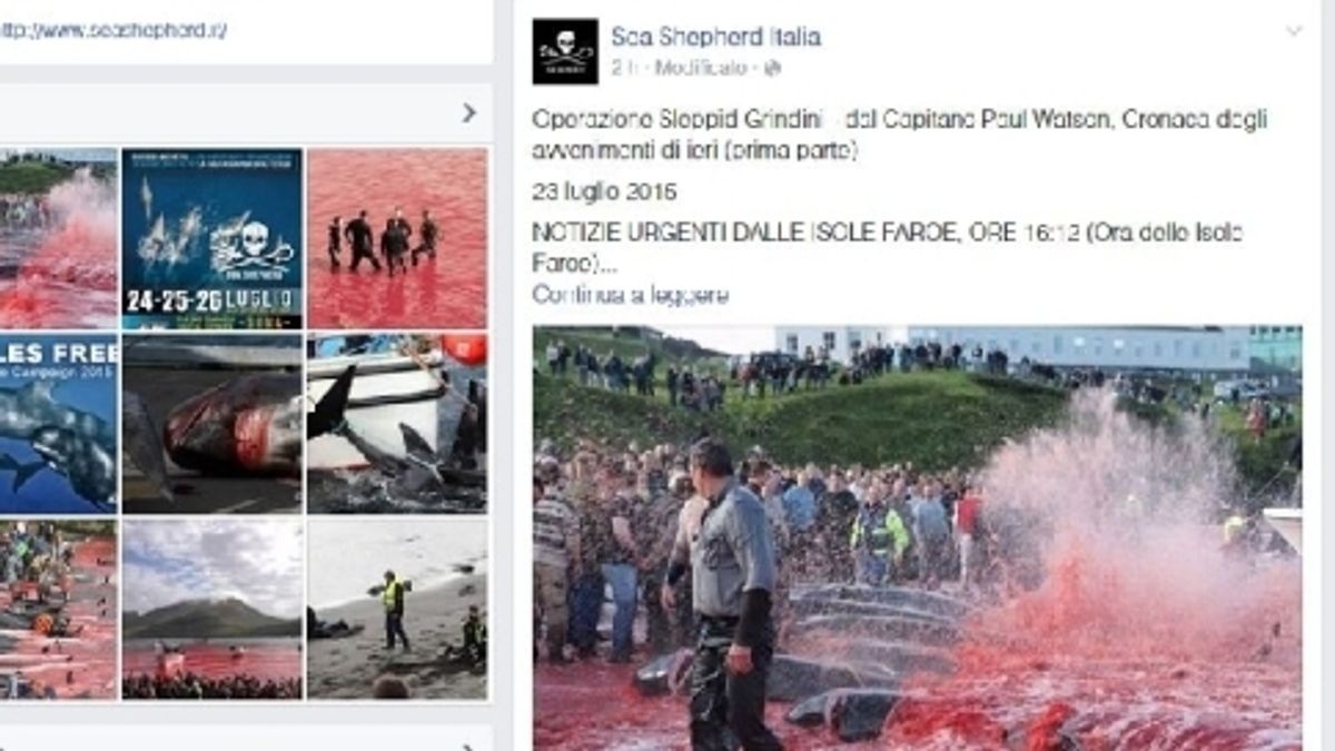 
    © facebook