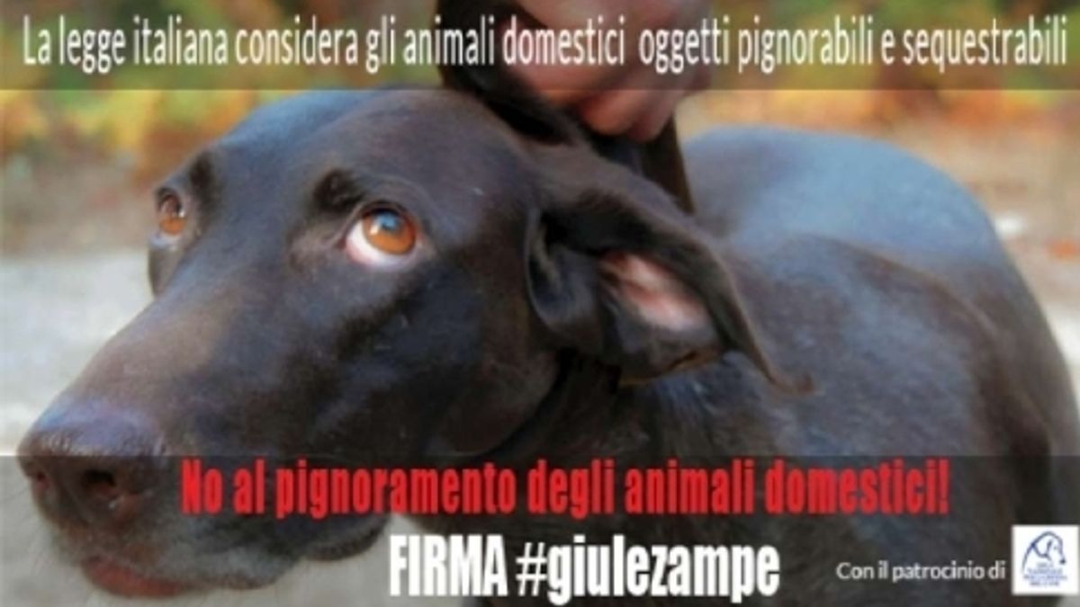  © ufficio-stampa