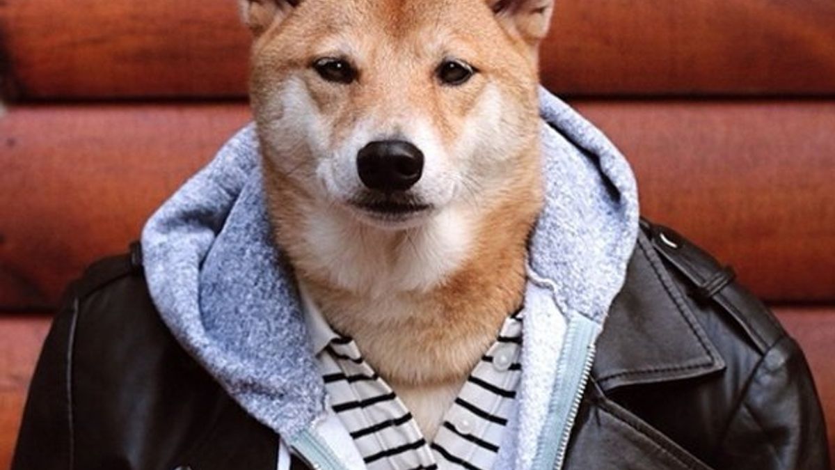  © instagram