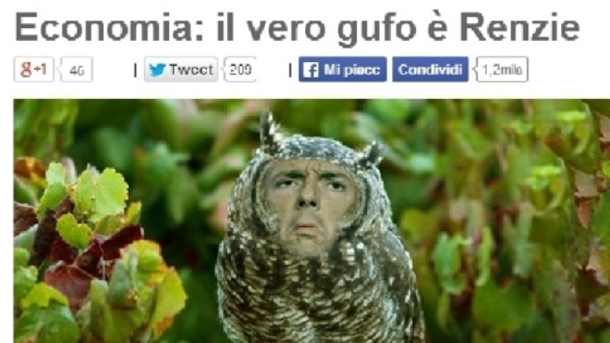  © dal-web