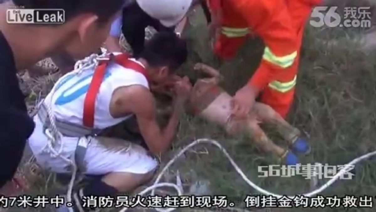  © da-video