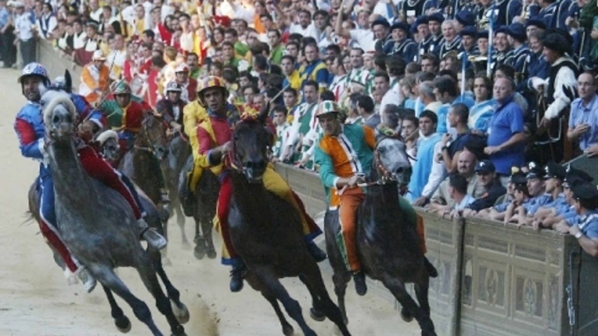  © ente-del-turismo