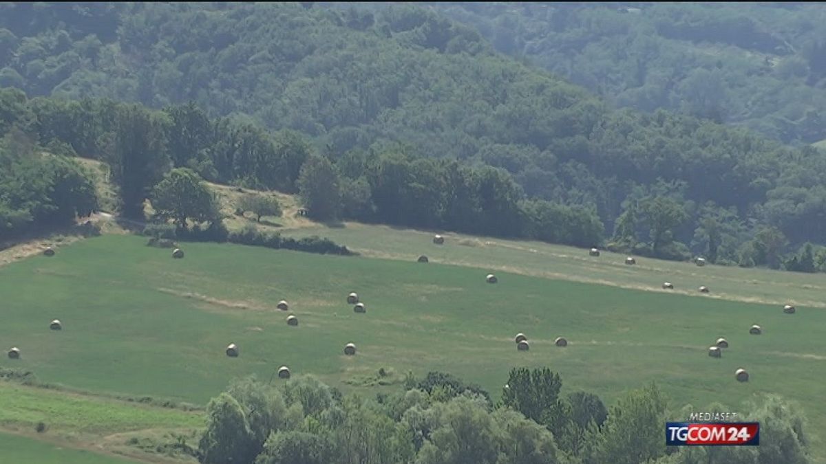 12.00 AGRITURISMO, 20 ANNI DI BOOM SRV 