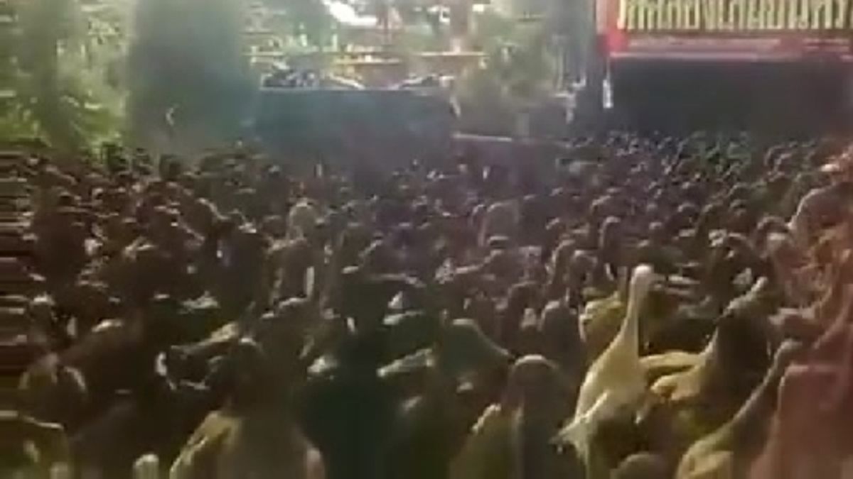  © da-video
