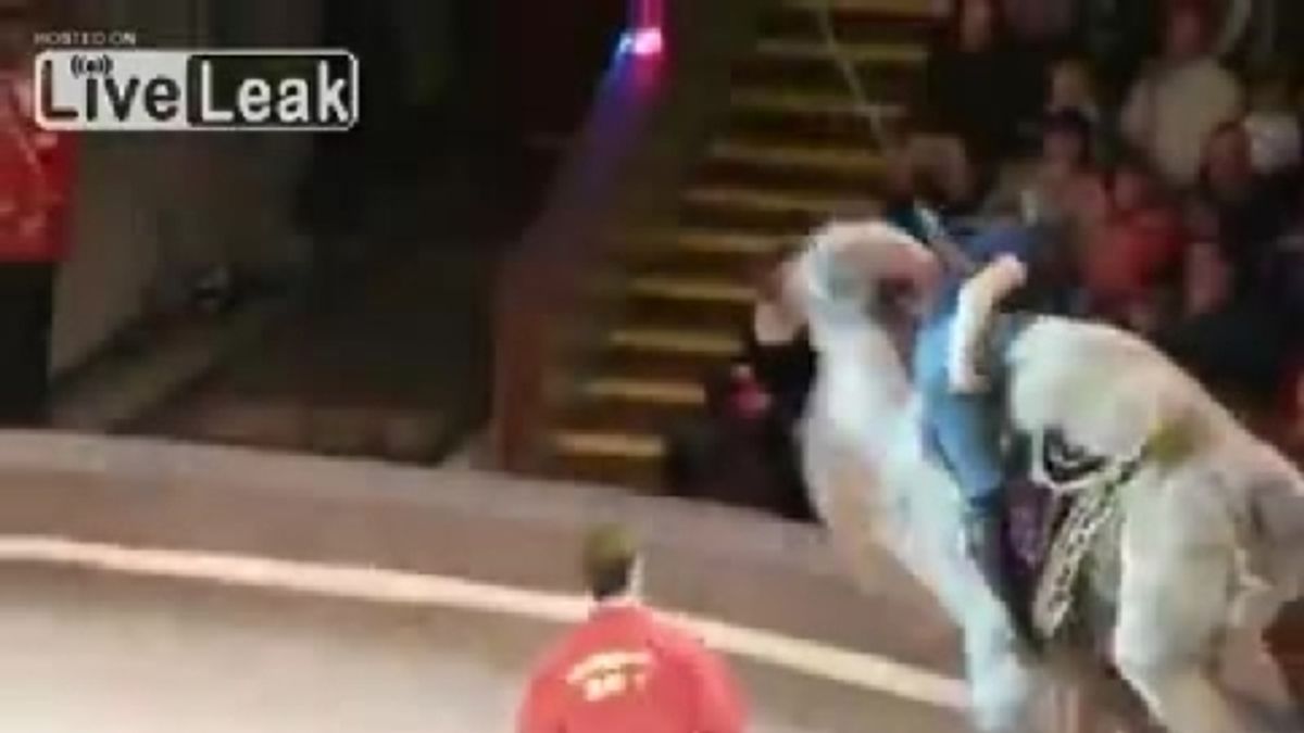  © da-video