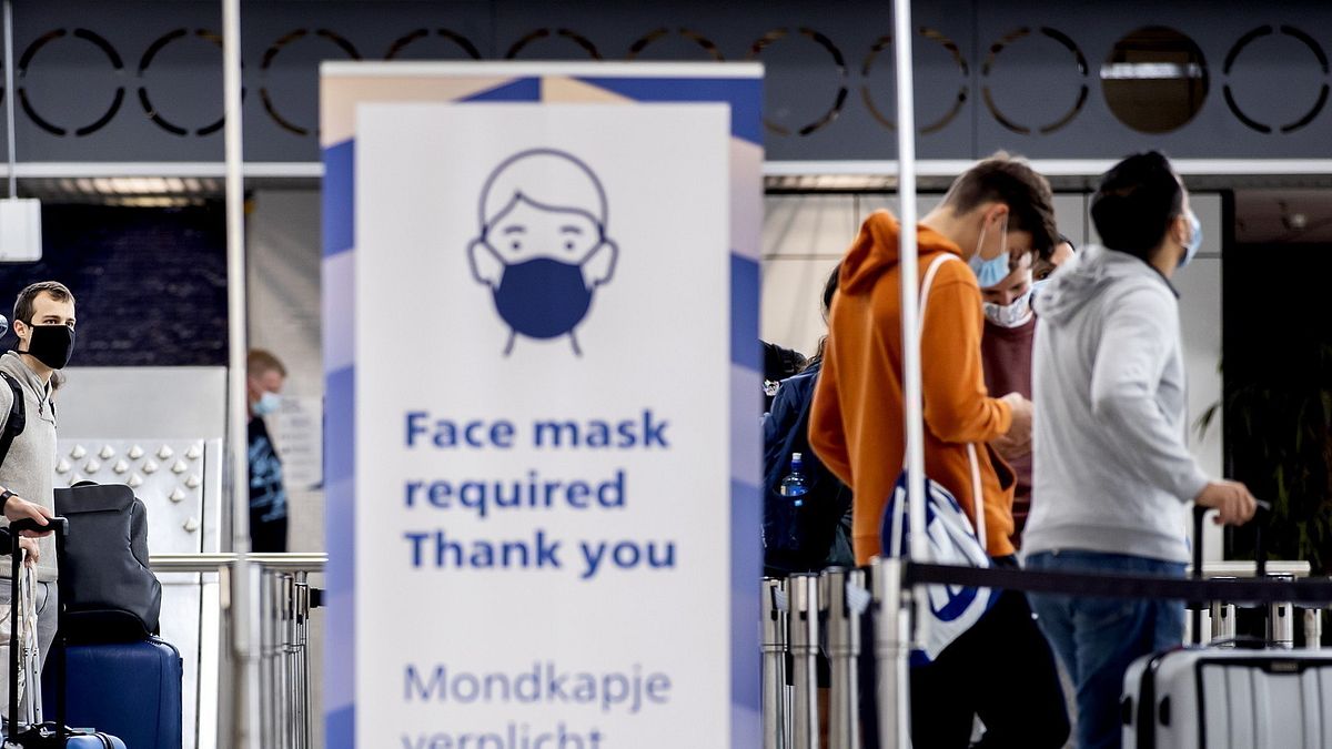  Covid-19, i cani potrebbero essere i nuovi tester del virus © Afp