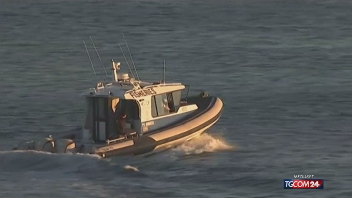 Australia, surfista attaccato da uno squalo 