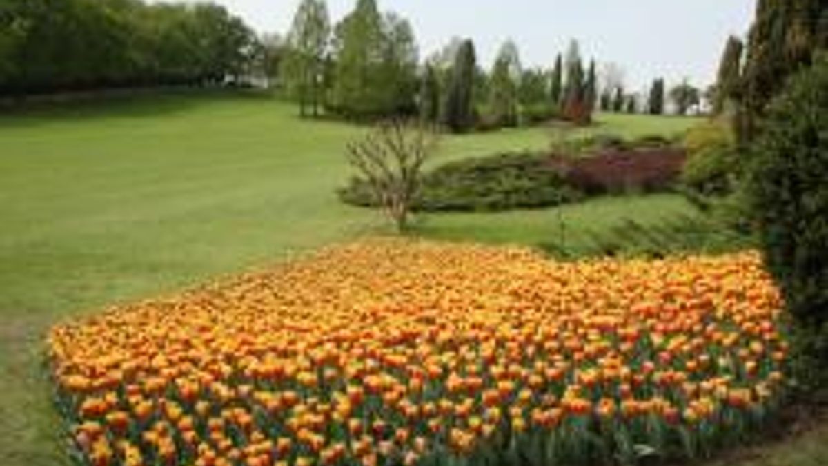 Valeggio sul Mincio (lago di Garda), Parco Giardino Sigurtà   © Ufficio stampa