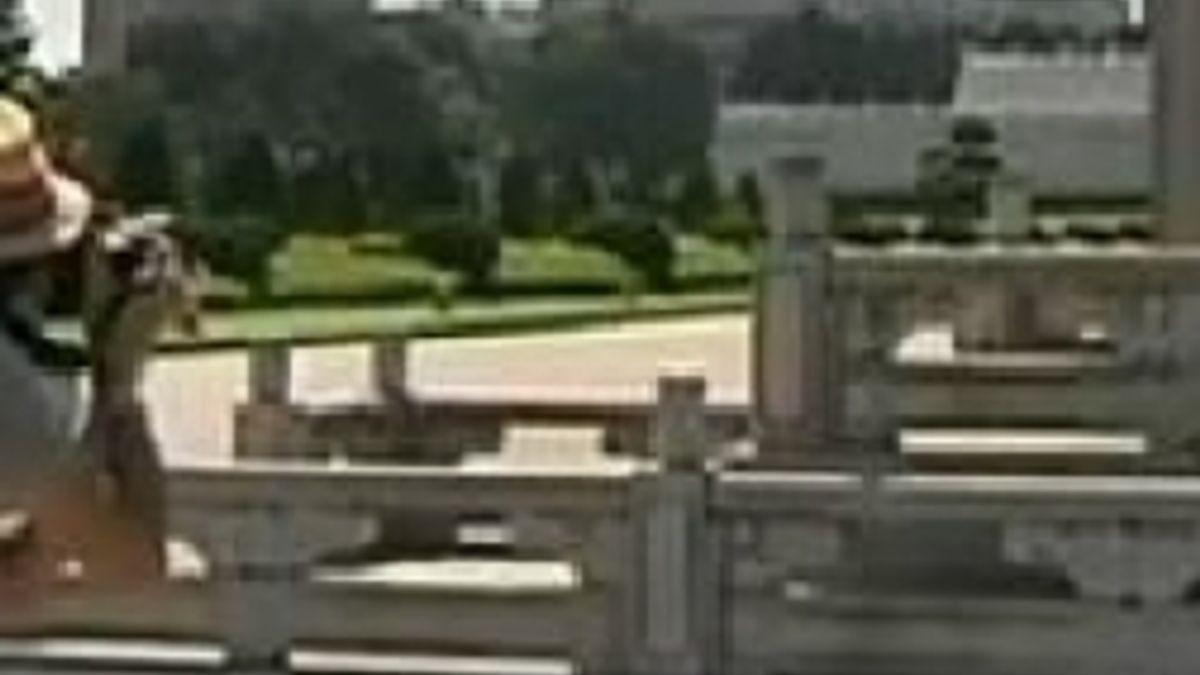  © Da video