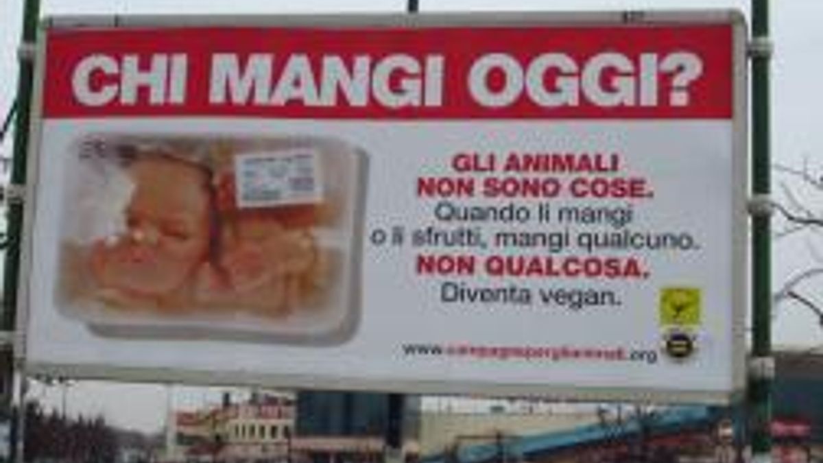  © Sito ufficiale