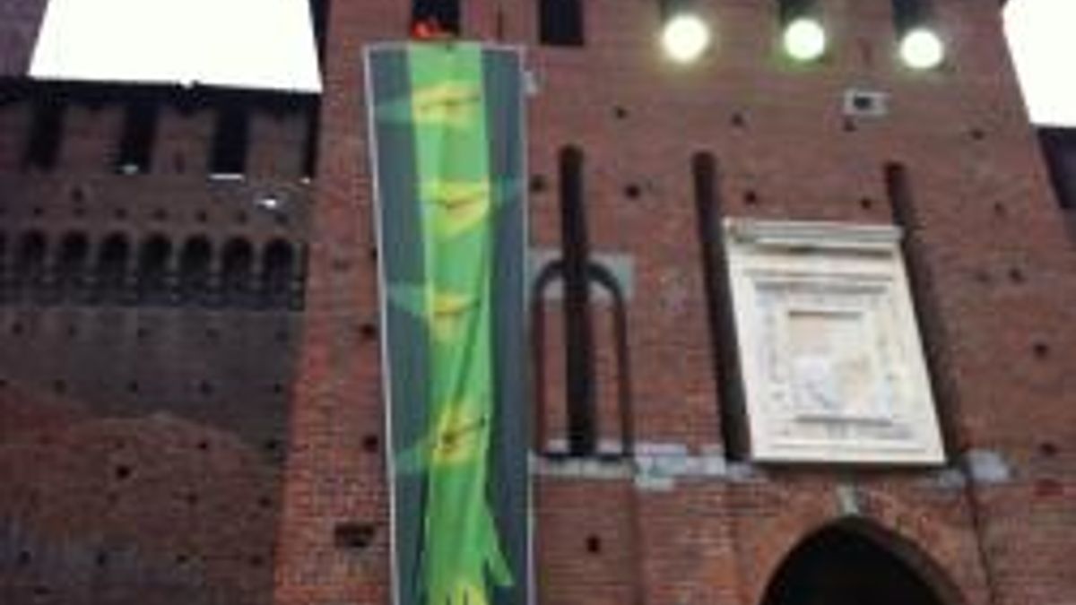  © Greenpeace