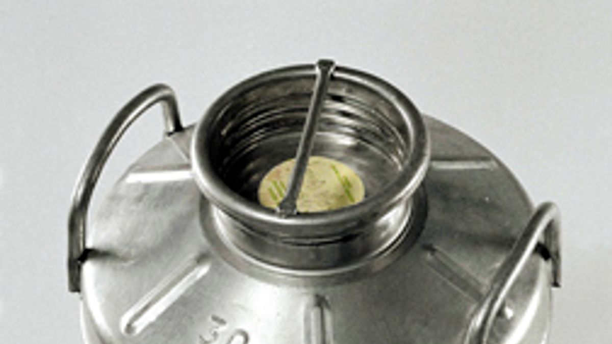 Marina Abramovic, The Onion, 1996, Video,  20', Courtesy of the artist - Joseph Beuys,Oil Can F.I.U, 1980, Metal container of Olive oil, Courtesy Archivio Bonotto  © Ufficio stampa