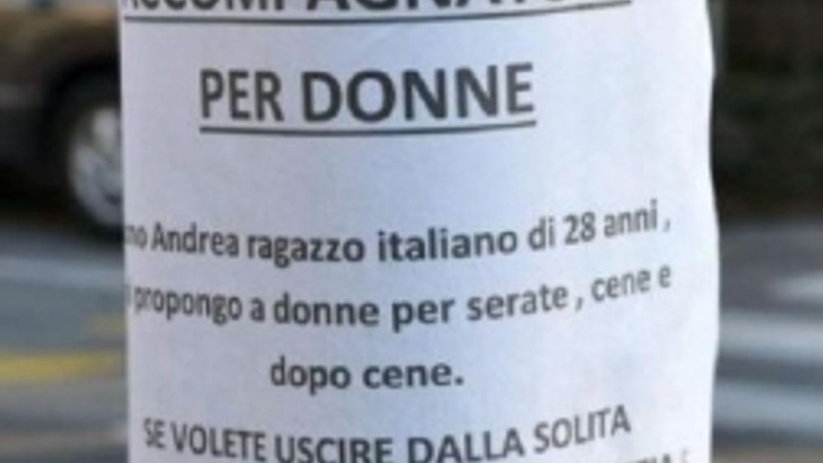  © Dal Web