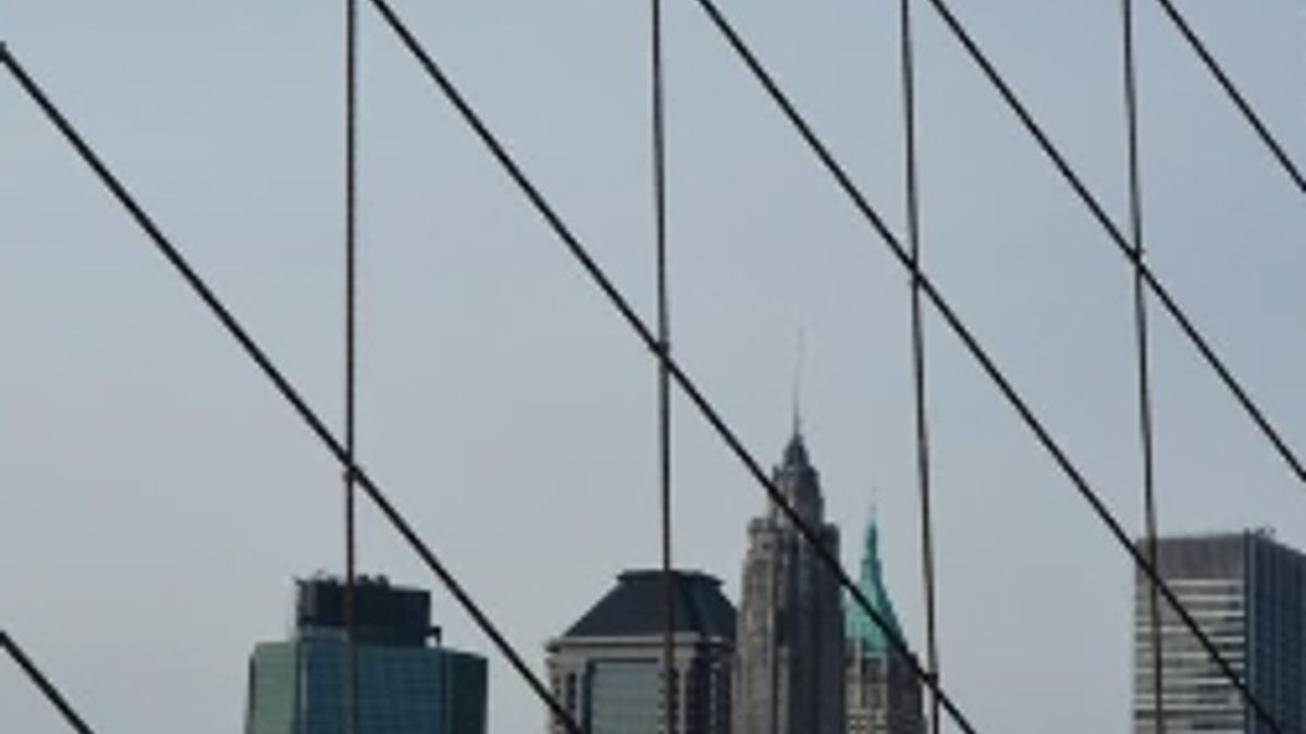 I grattacieli del Financial District nella rete (photo Bergamin) © Tgcom24