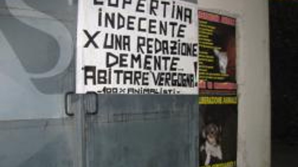  © Dal Web