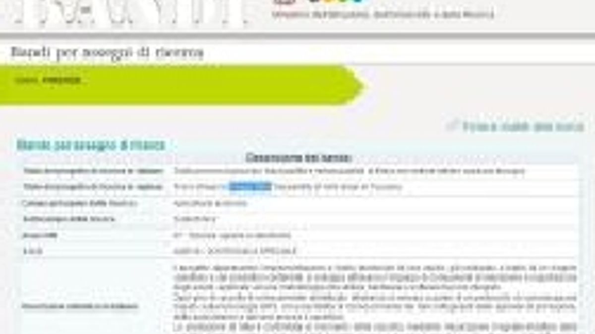 © Dal Web