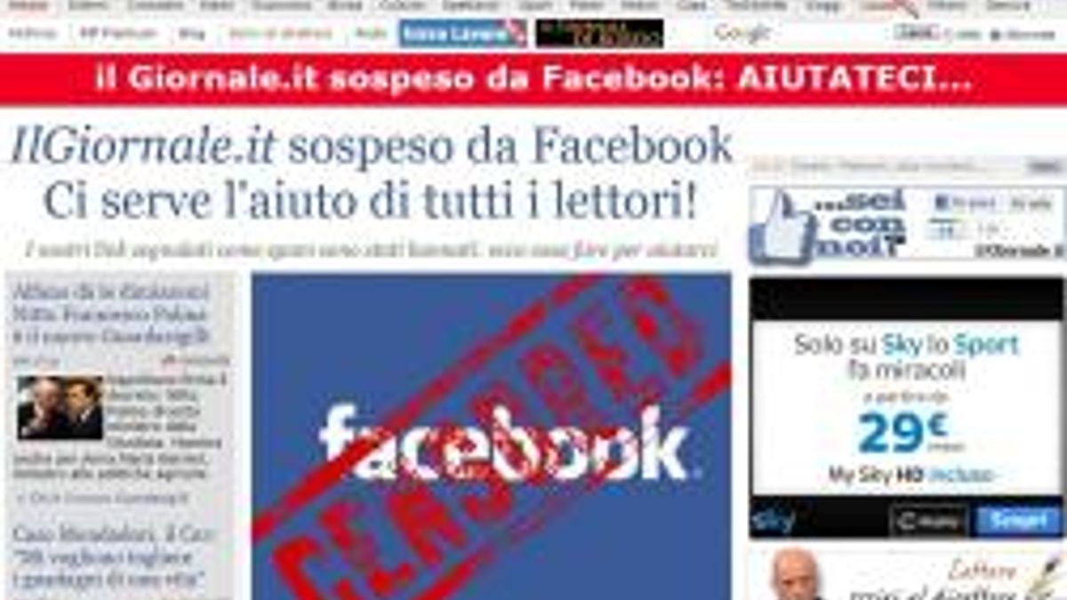  © Dal Web