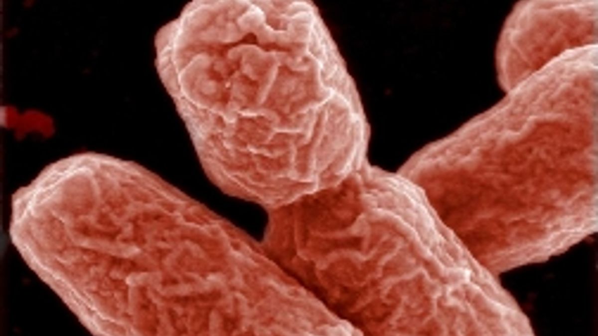  ©  Afp