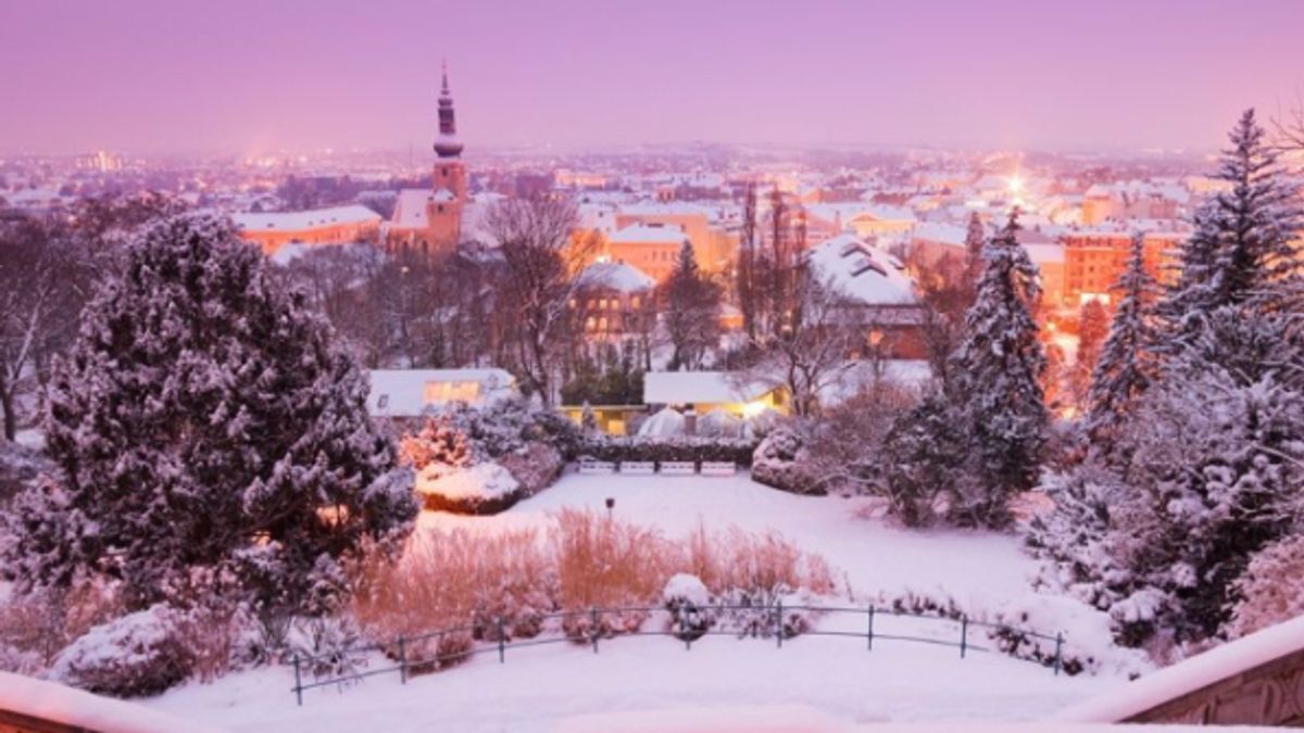 
      Panoramica di Vienna Invernale
    © dal-web