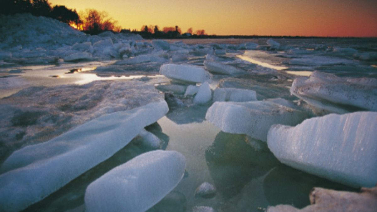 
      Estonia, paesaggio invernale
    © dal-web