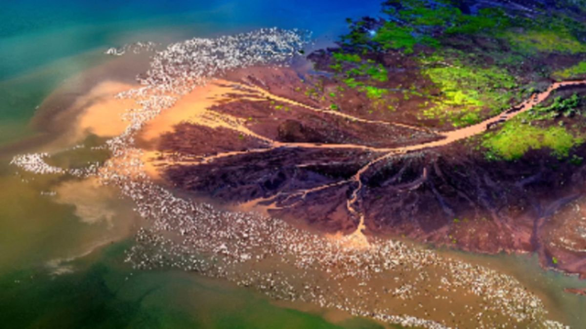 
      Lake Bogoria, di Franco Cappellari
    © ufficio-stampa