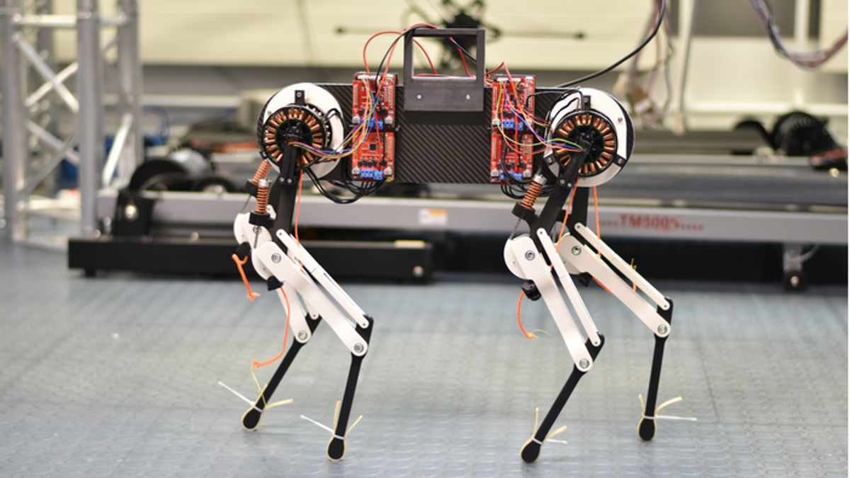  Cane robot Morti  © Felix Ruppert, Dynamic Locomotion Group at MPI-IS